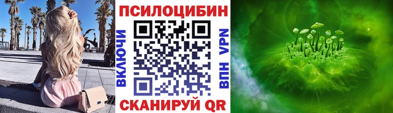 Галлюциногенные грибы мицелий  хочу наркоту  Ленинградская 